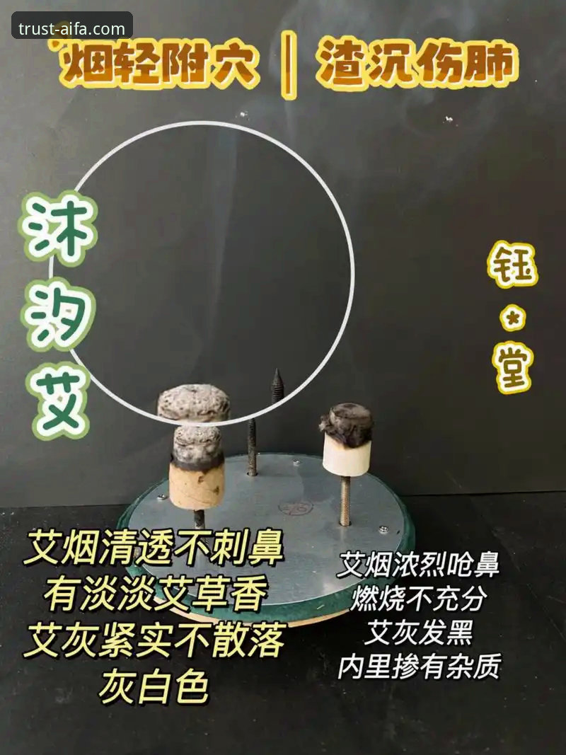 揭秘艾法新手教程安装失败背后的真相——这些隐藏问题你可能不知道